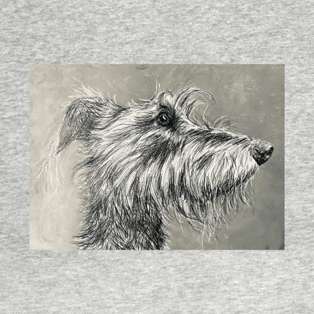 Grey Scruffy Lurcher by Merlinsmates